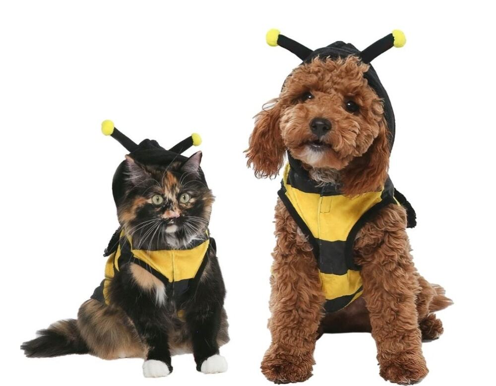 Vibrant Life Yellow & Black Hooded Bumble Bee Halloween Pet Dog Costume Dress Up